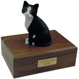 Temporary Urn and Mailer