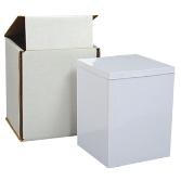 Temporary Urn and Mailer
